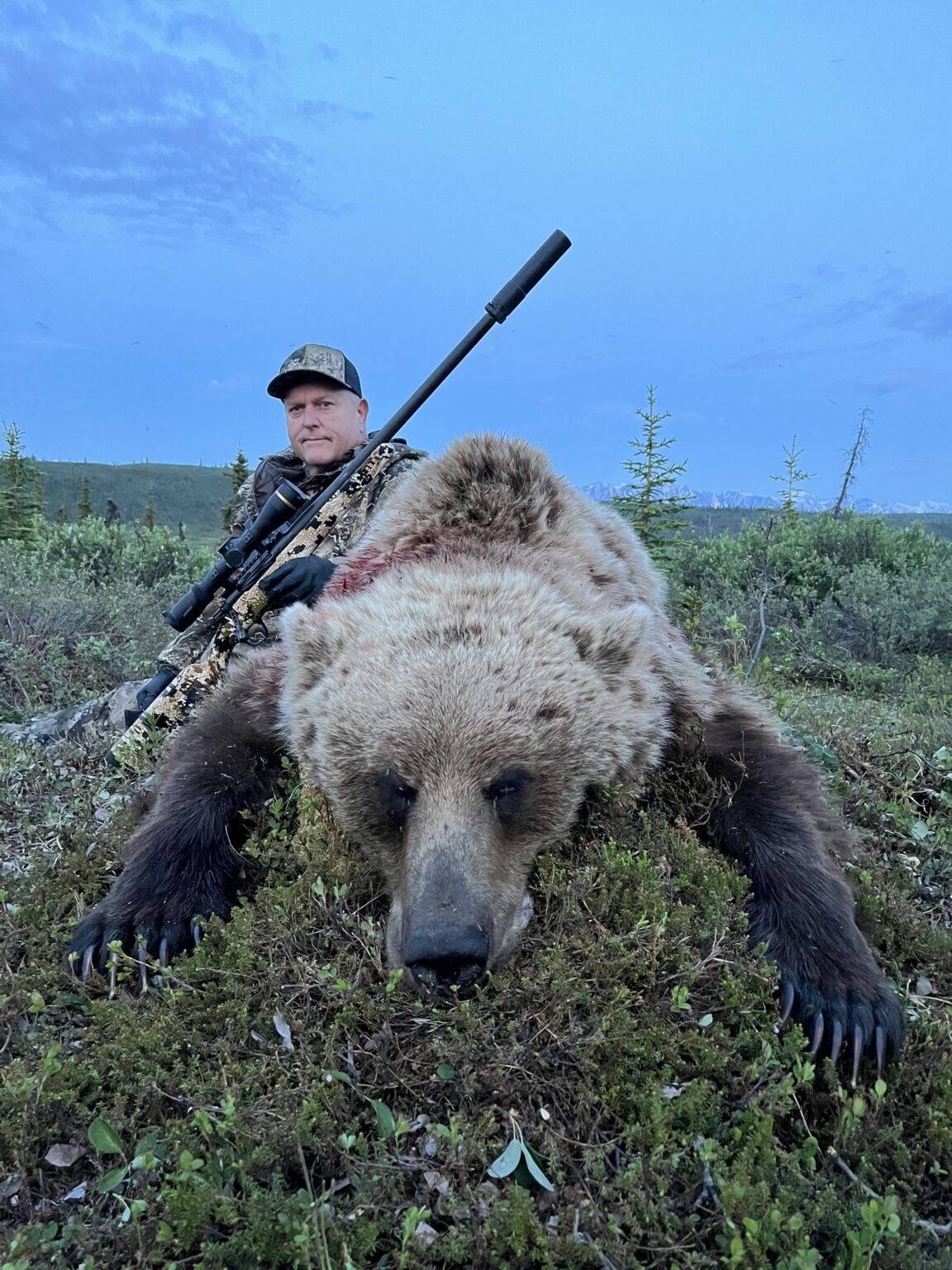 AK #155 - gorgeous grizzly