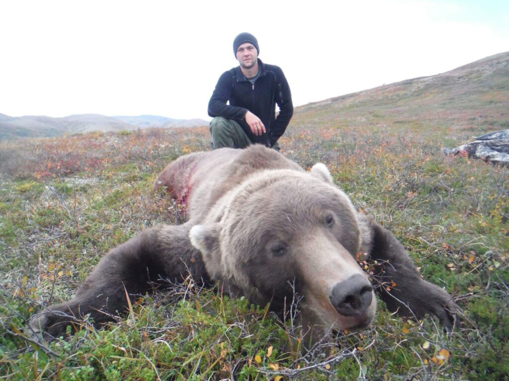Grizzly & Black Bears #155