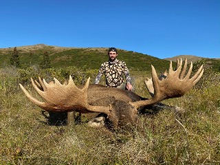 AK #155 - huge moose