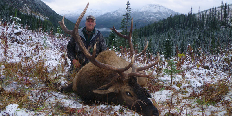 BC #72 - another nice bull elk
