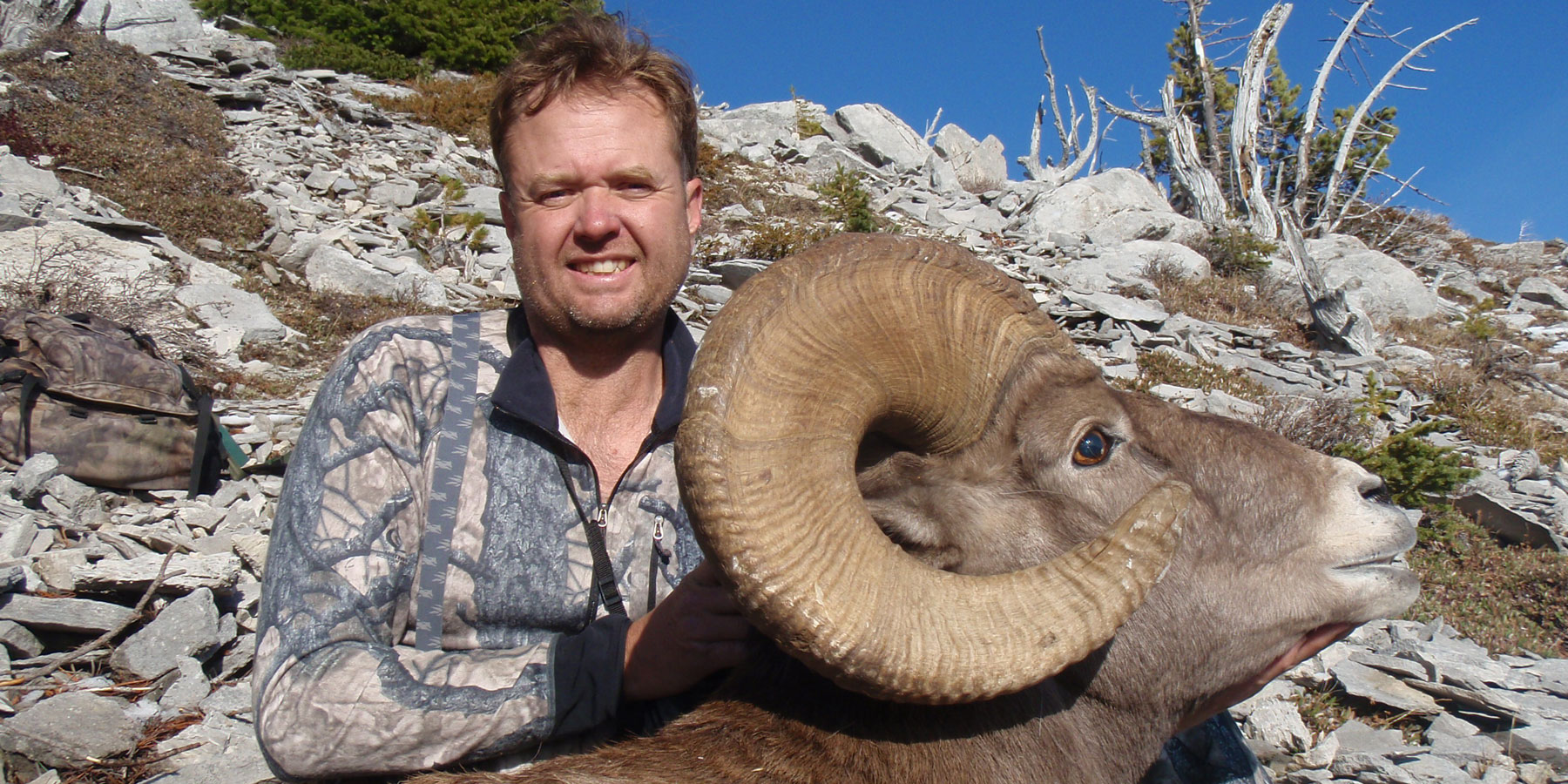 BC #72 - another nice ram