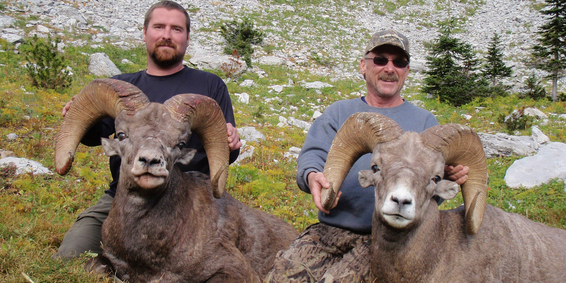 BC #72 - bighorn double