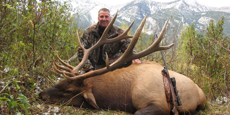 BC #72 - very nice elk