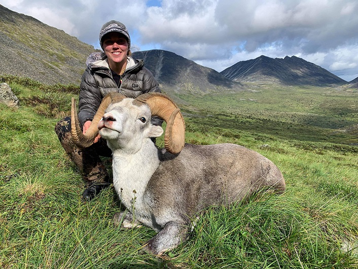 YT #121 - gorgeous Stone sheep 2021