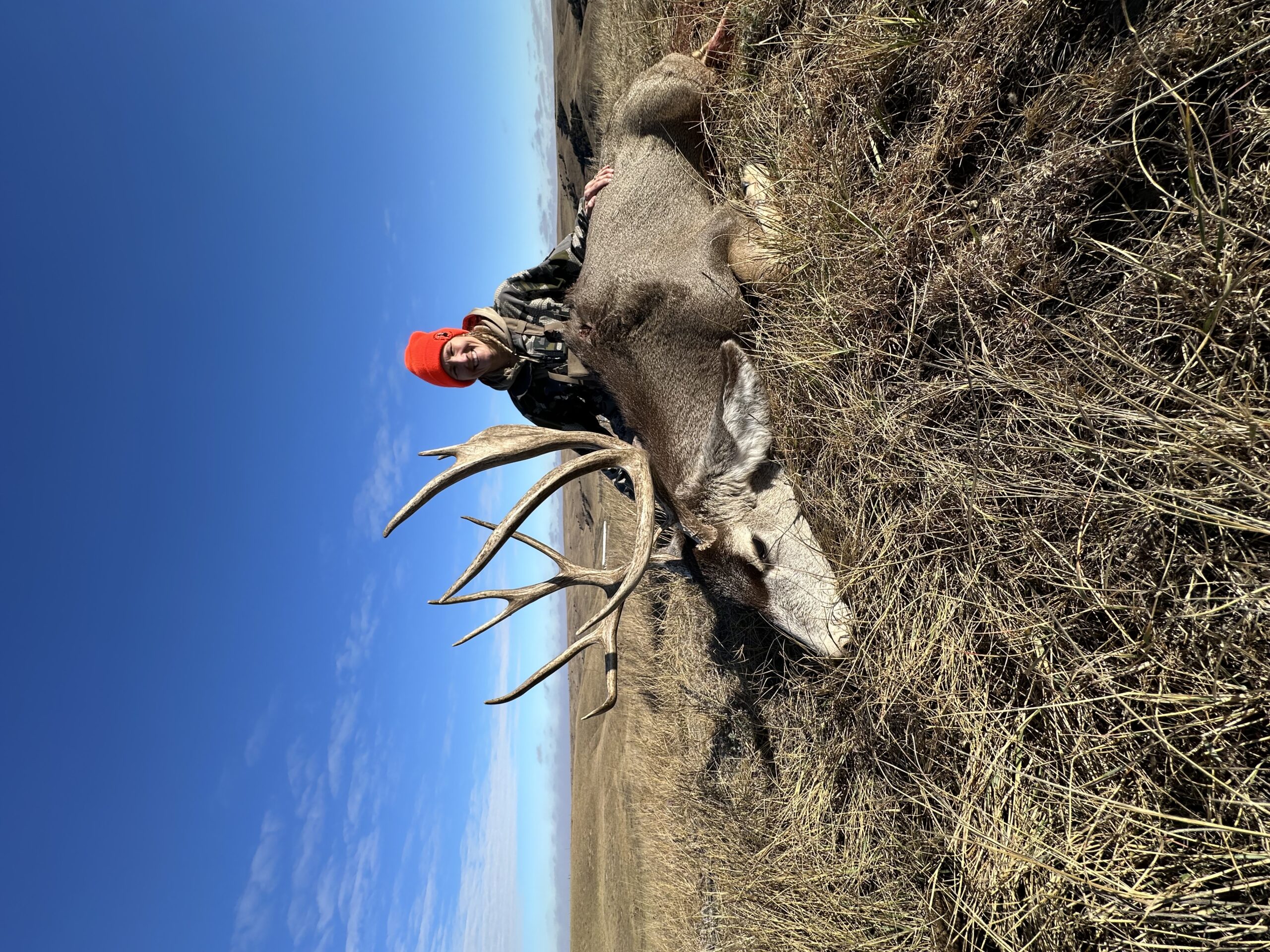 SD #19 Excellent mule deer