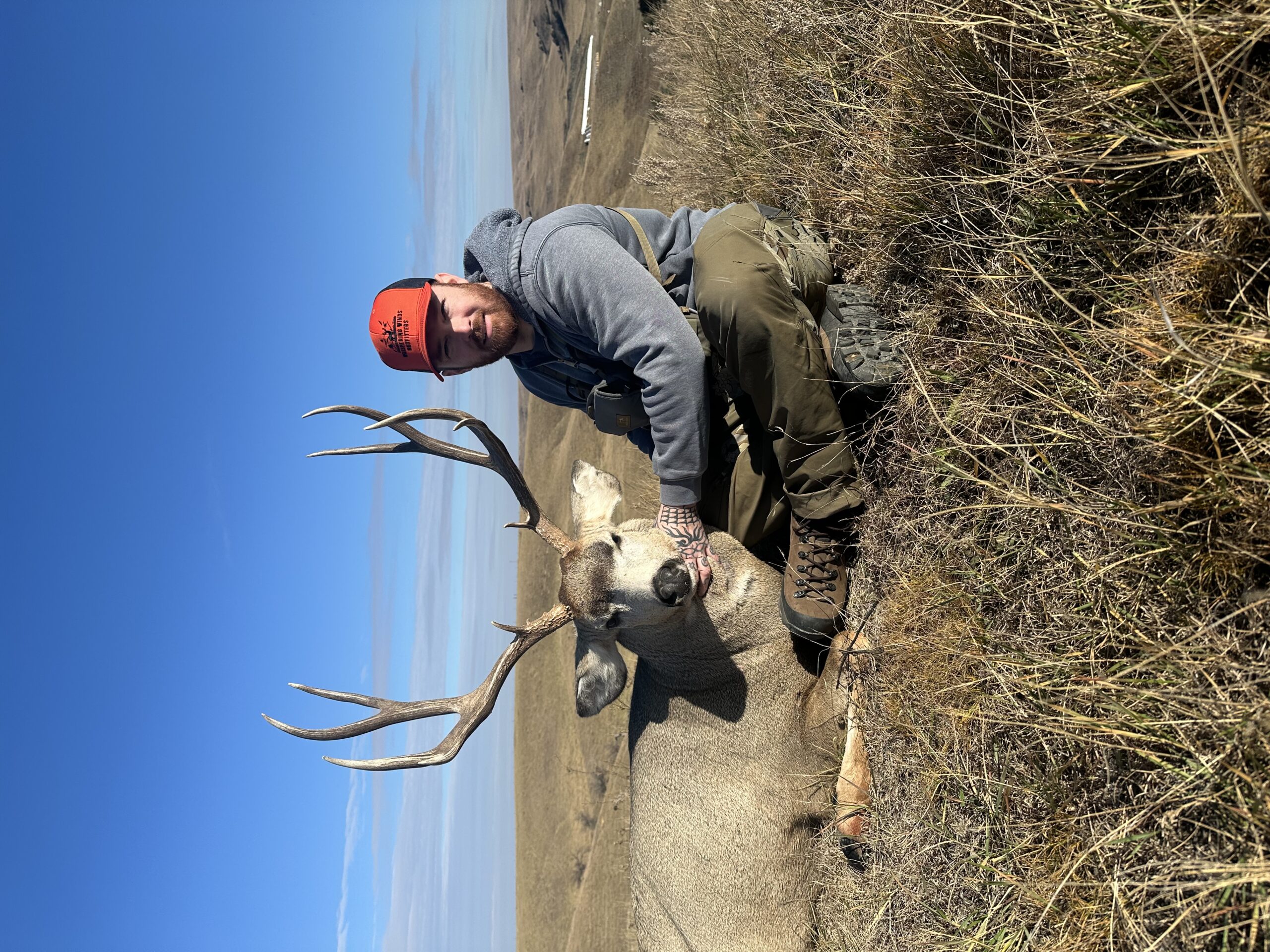 SD #19 Tall mule deer