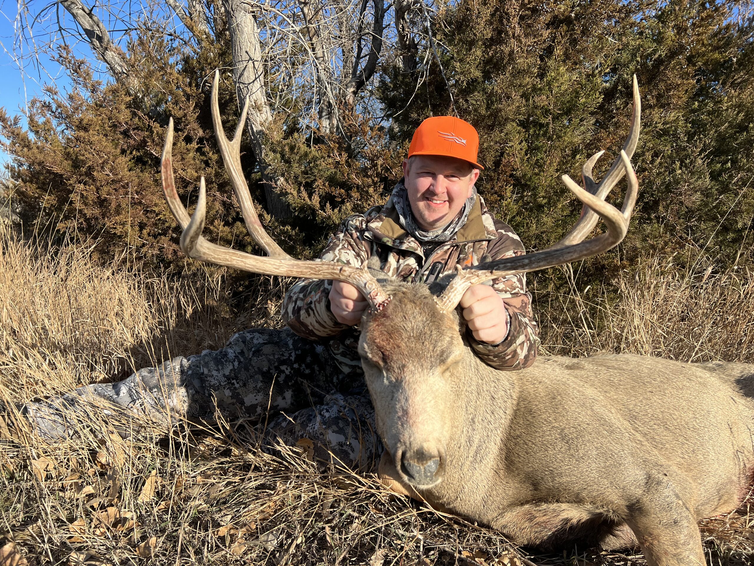 SD #19 Very wide mule deer