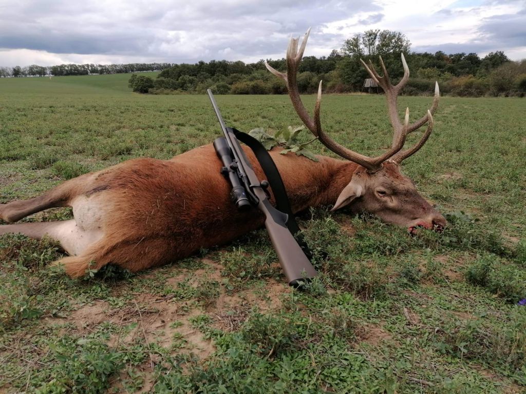 red-deer-hunting-in-hungary-hunt-nation.com