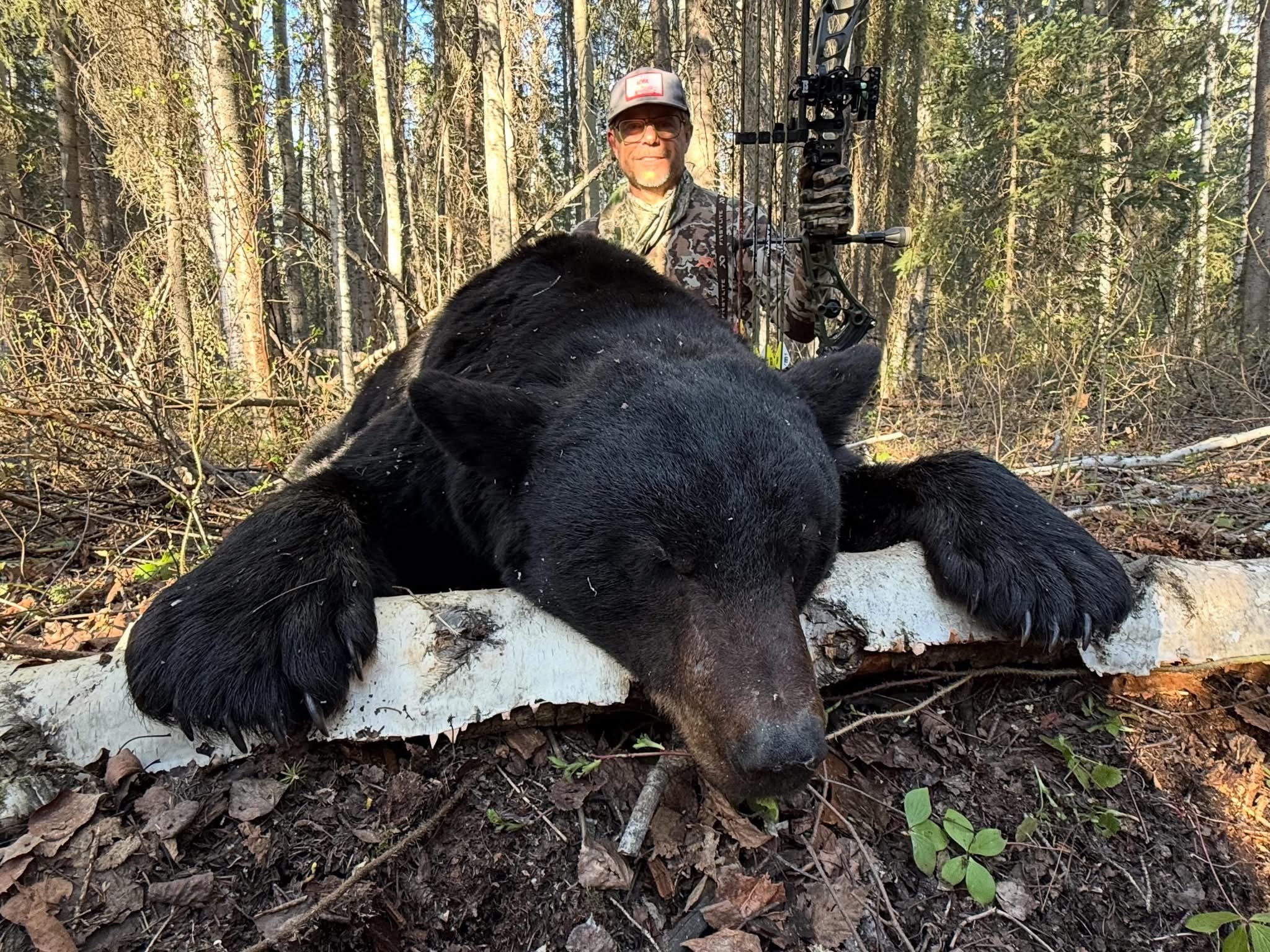 AB #245 Archery bear