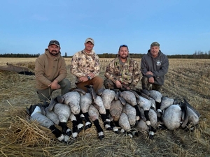 AB #245 Geese