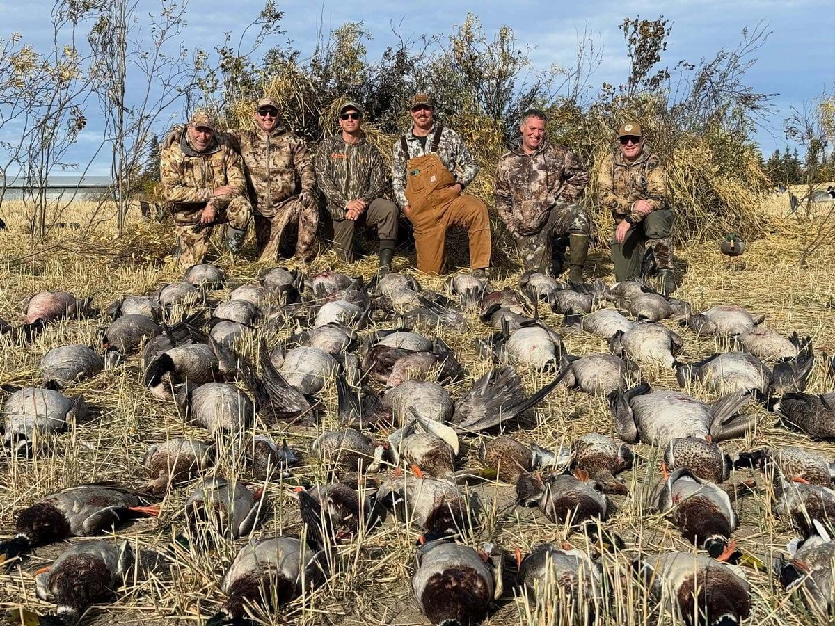 AB #245 Good day of hunting birds