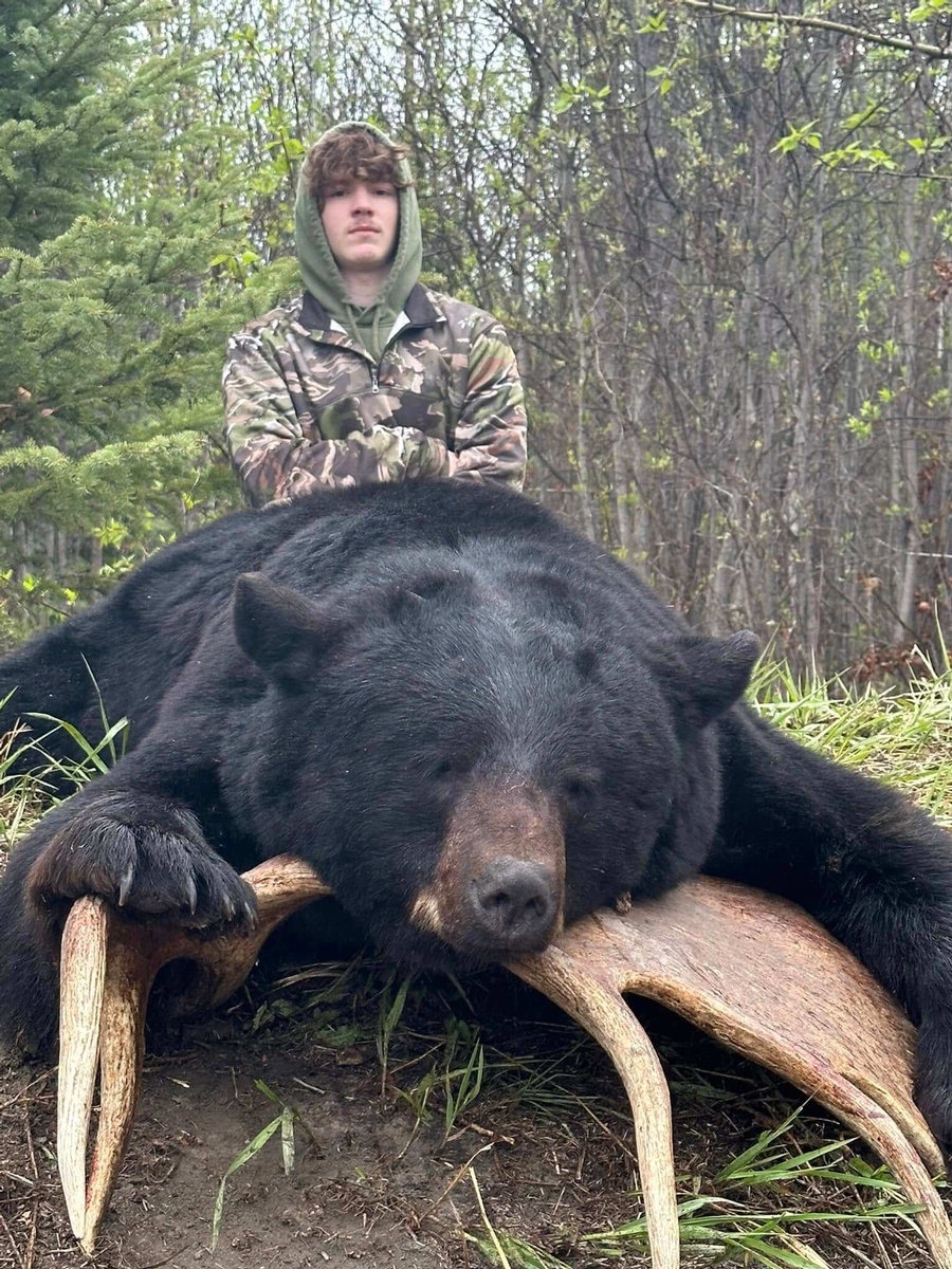 AB #245 Huge bear with stoic hunter