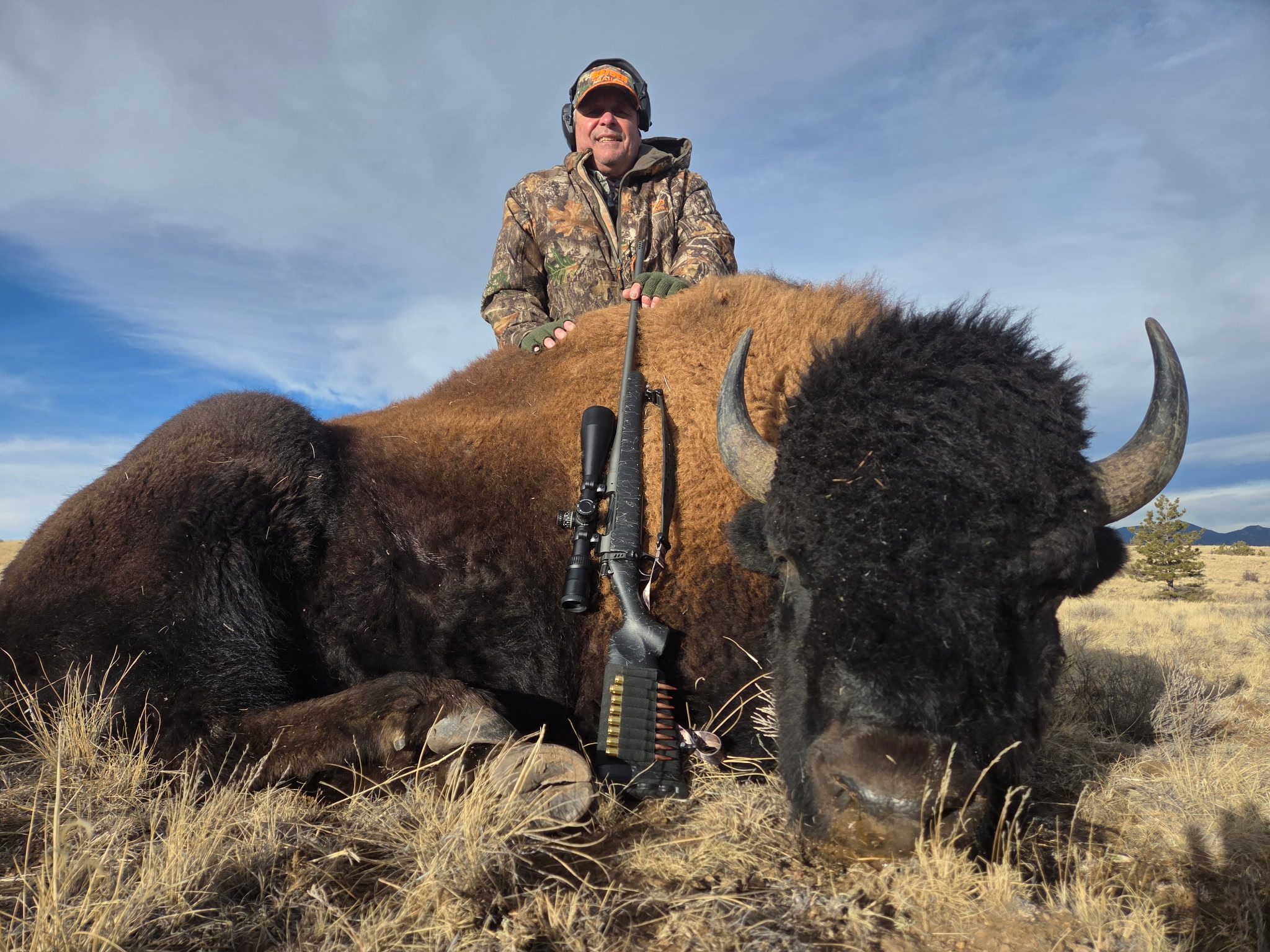 CO #159 Bison
