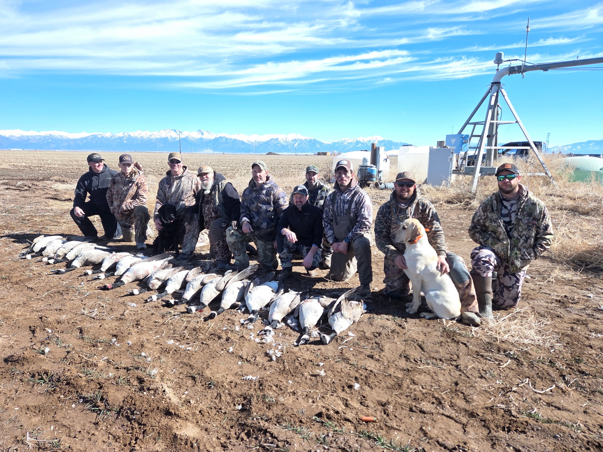 CO #159 Goose hunt