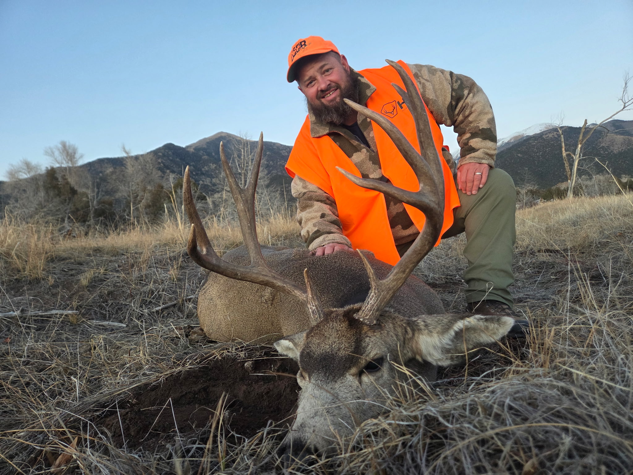 CO #159 Nice 4x4 mule deer