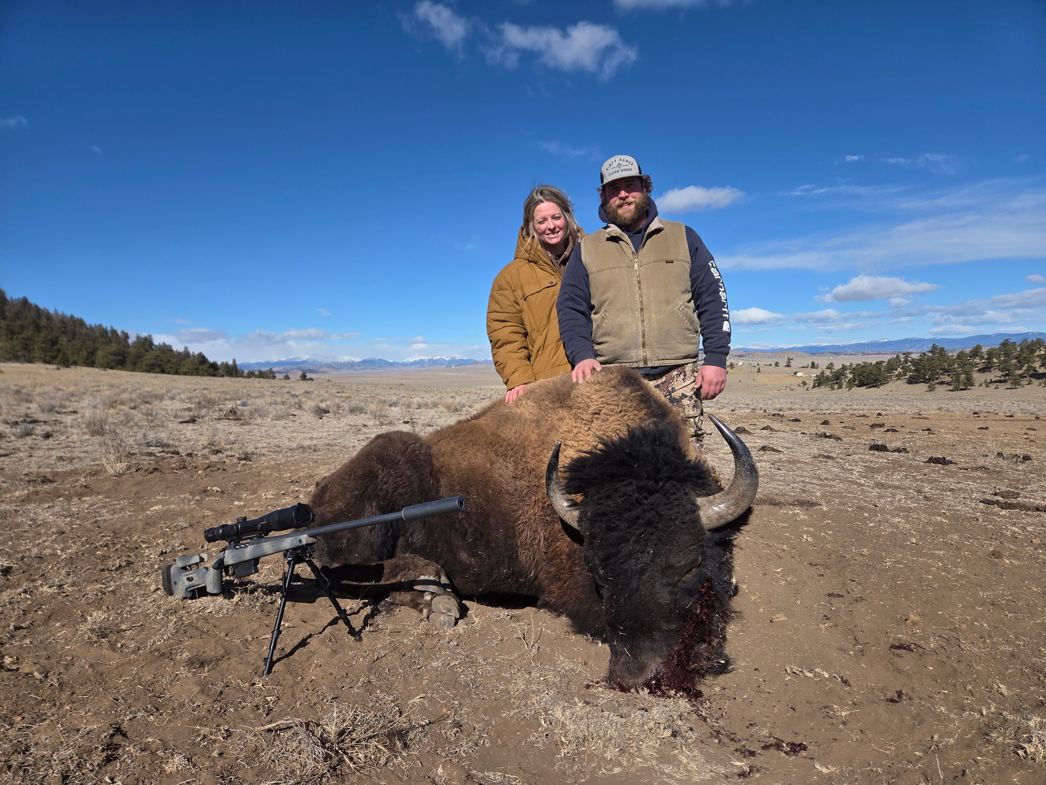 CO #159 another bison