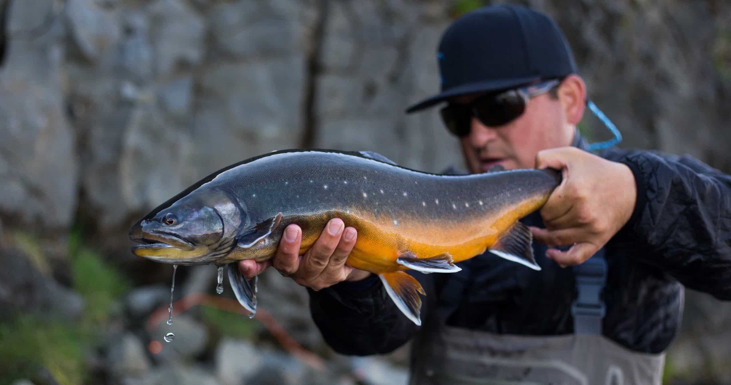 Arctic Char - Hunt Nation Arctic Char - Hunt Nation