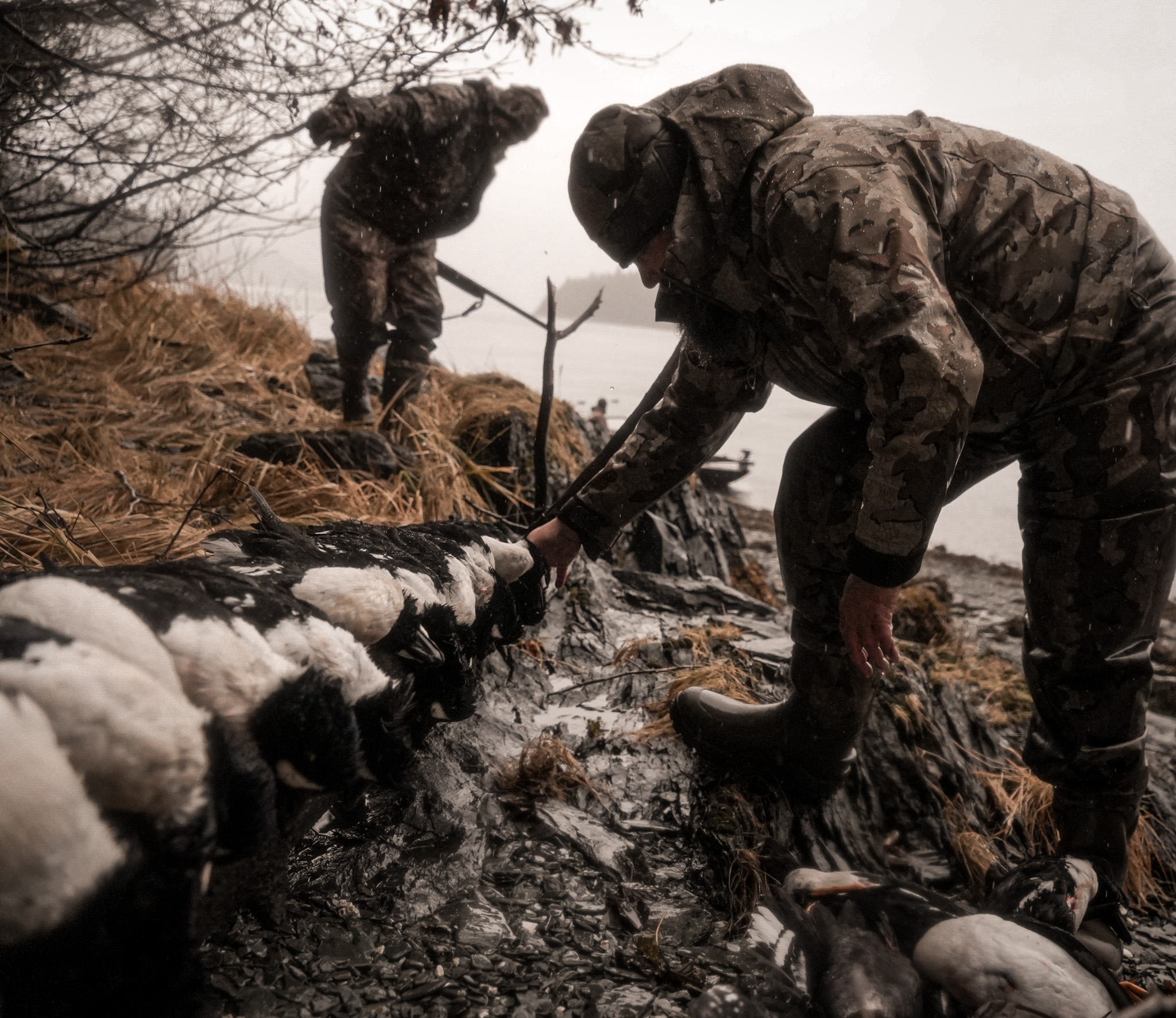AK #181 Ducks