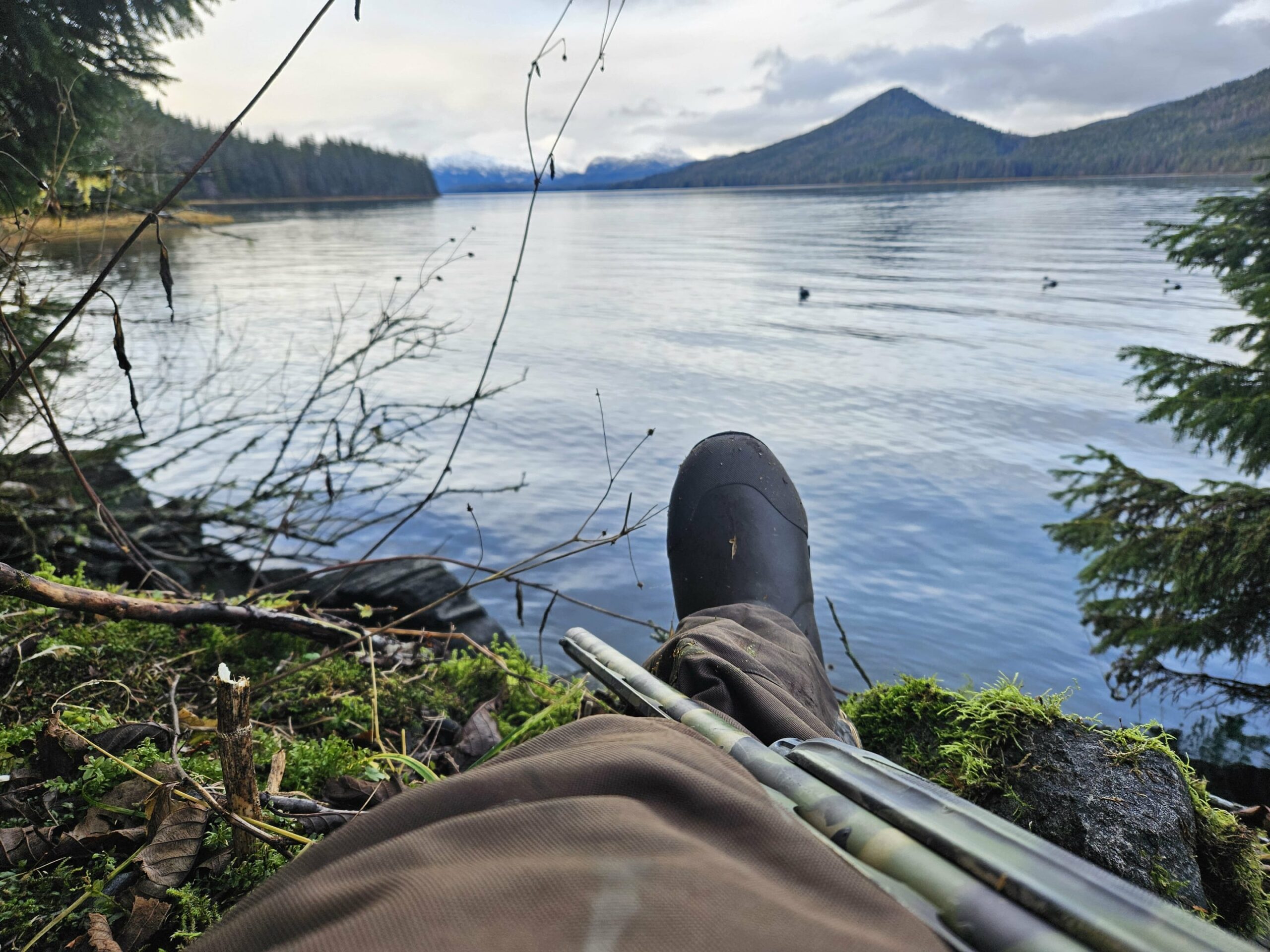 AK #181 Nice view