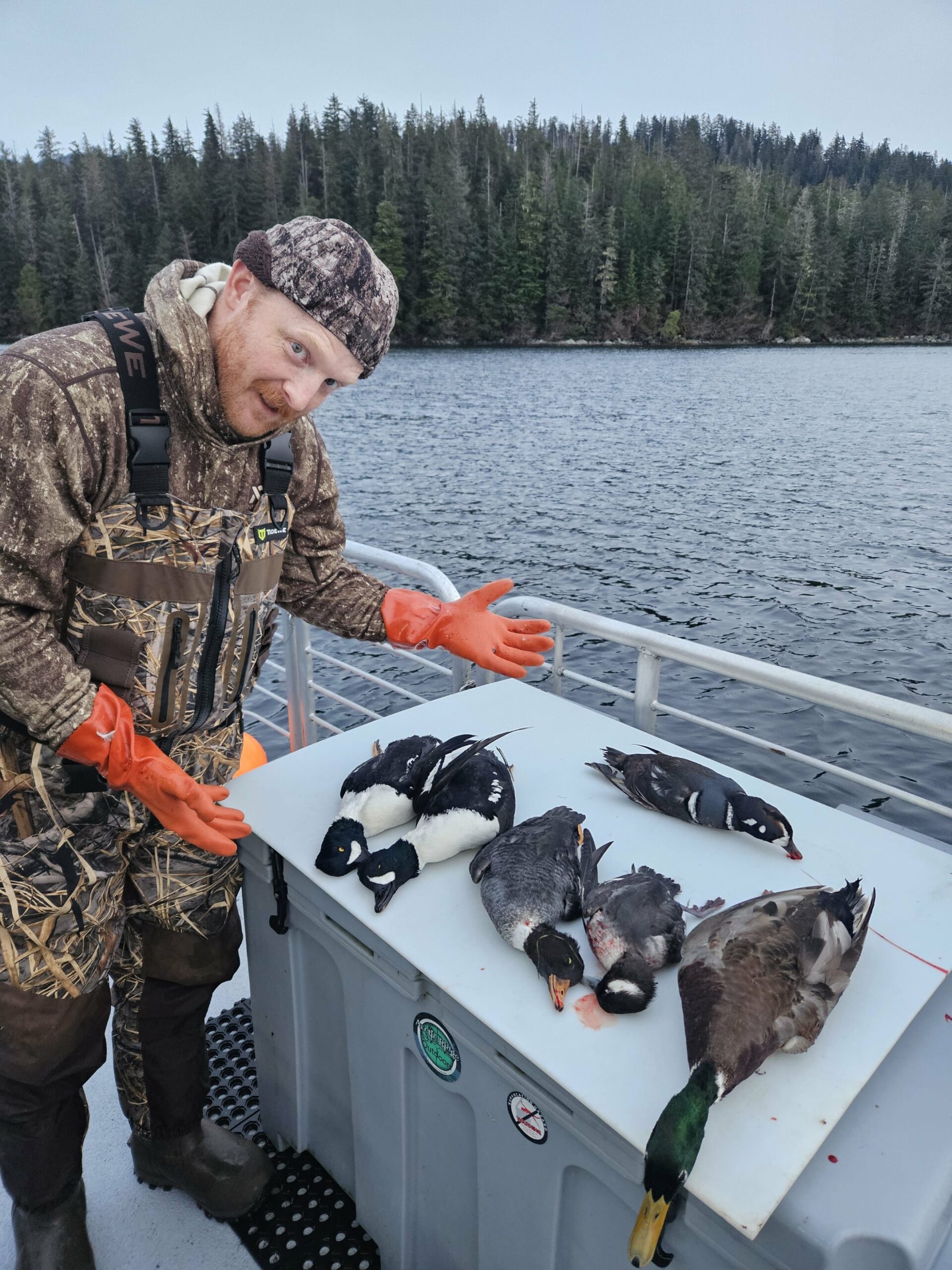 AK #181 variety of ducks