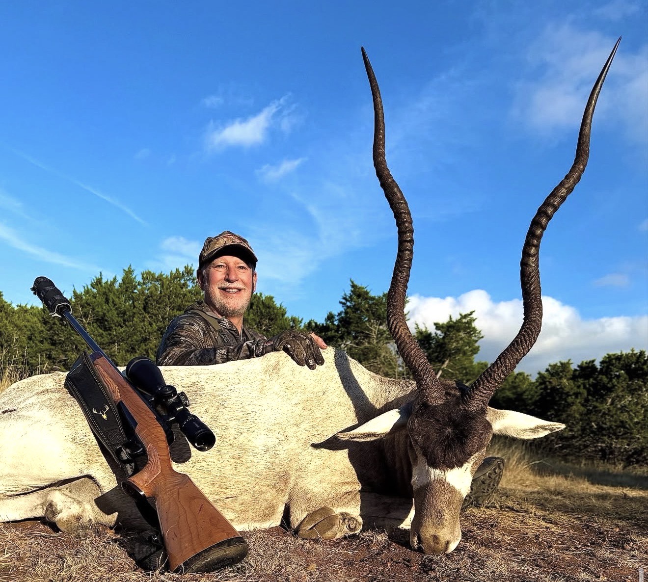 TX #305 Addax 1
