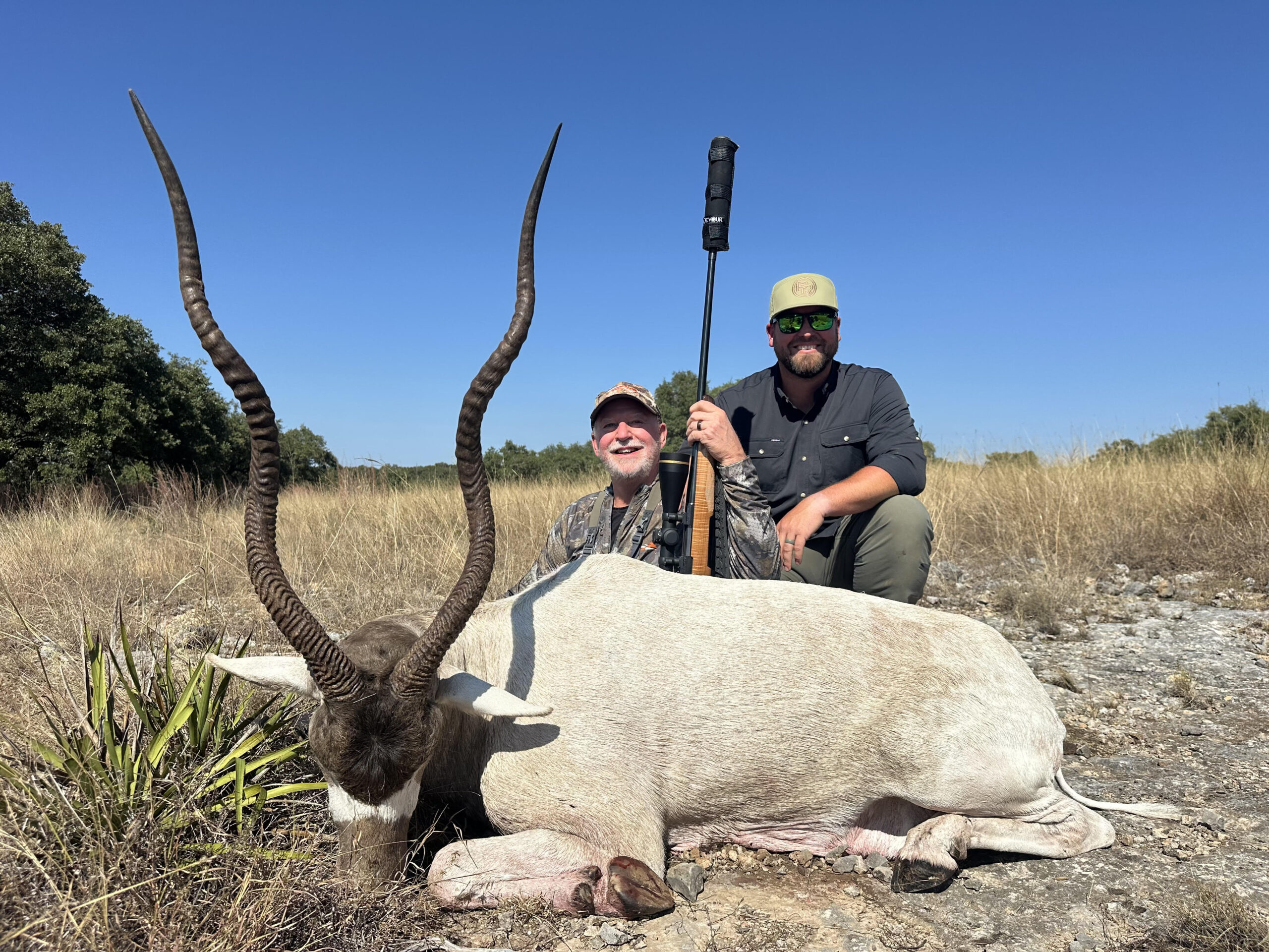 TX #305 Addax