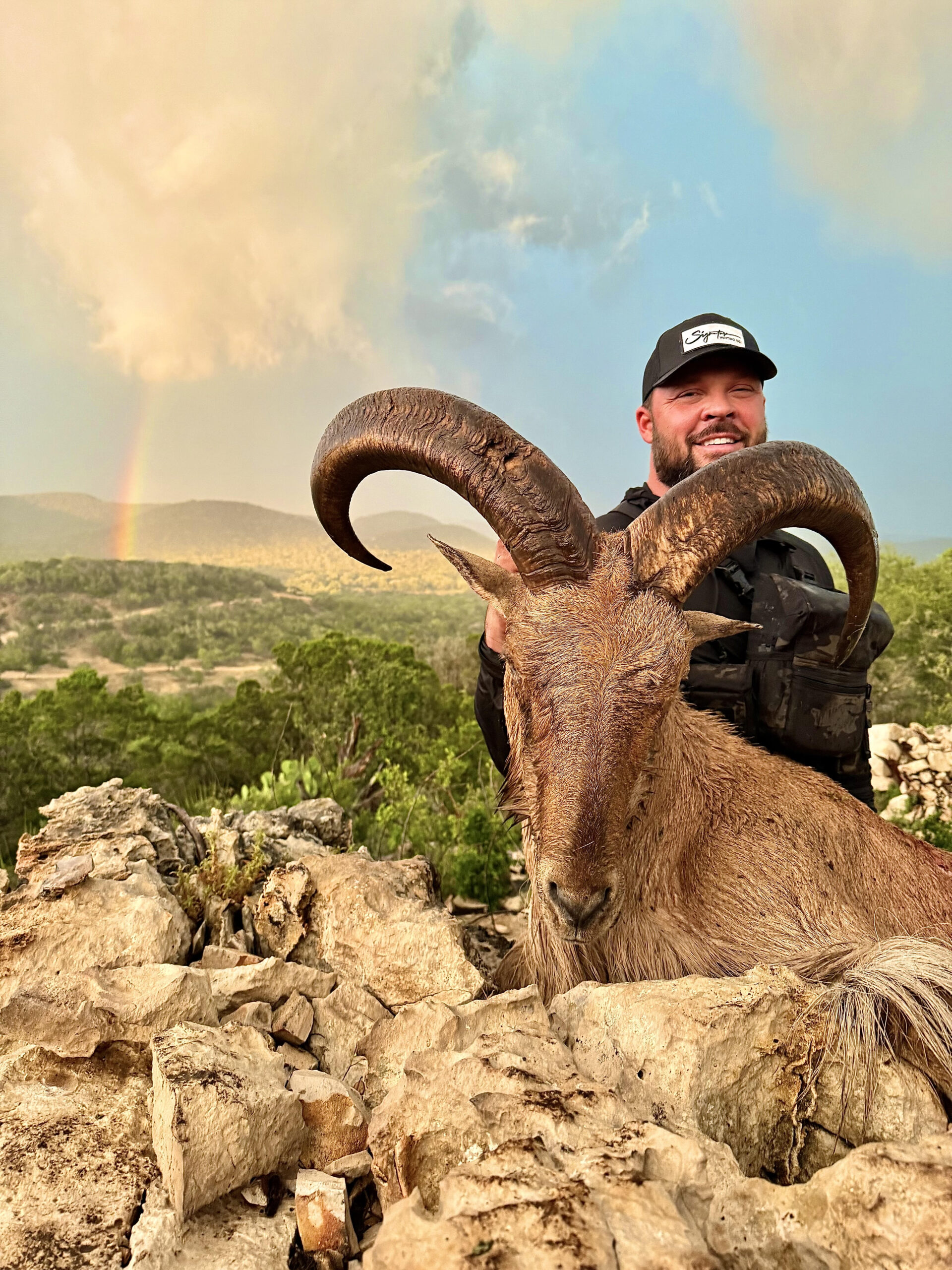 TX #305 Aoudad