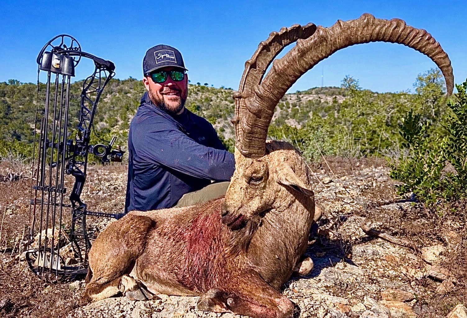 TX #305 Archery Ibex