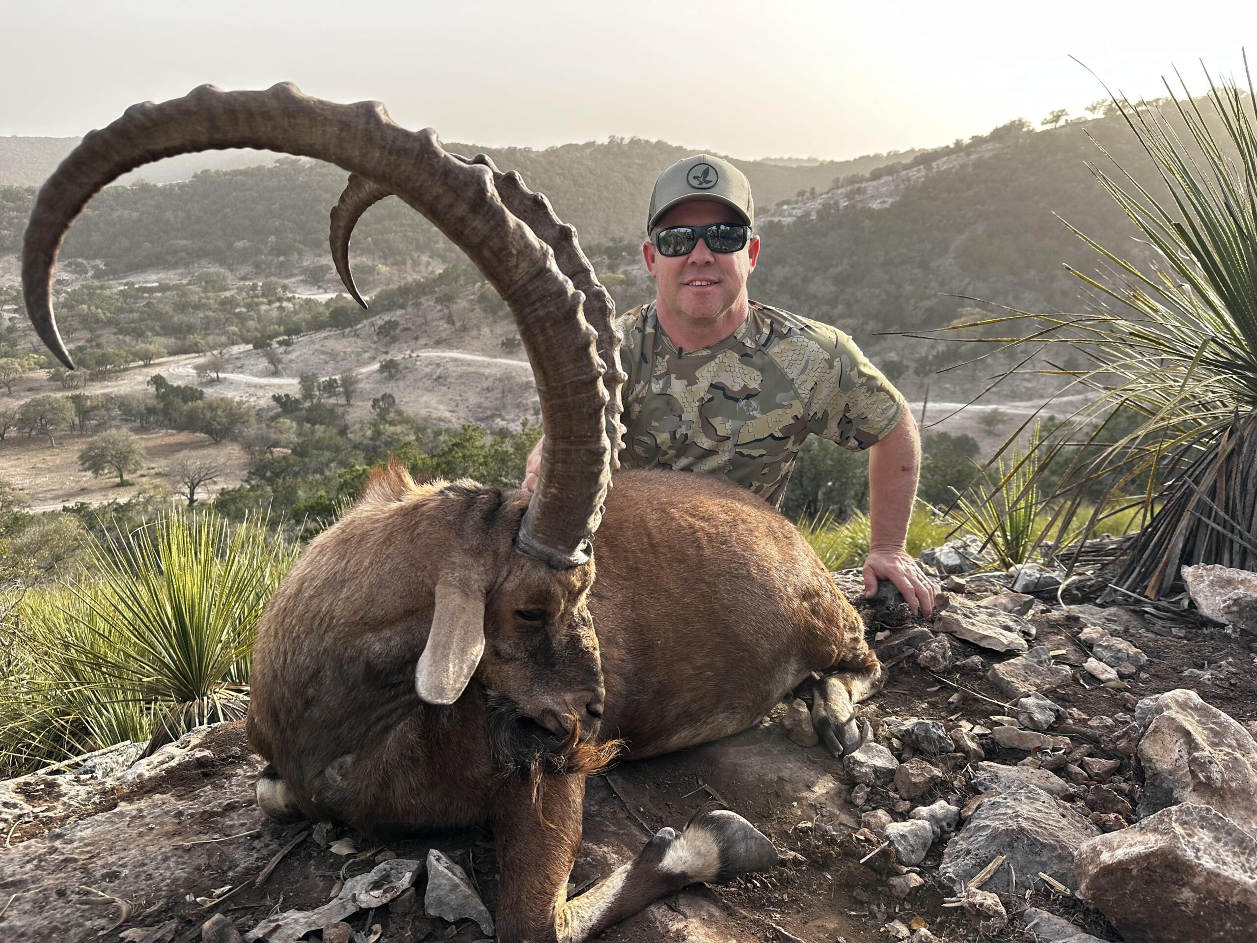 TX #305 Ibex