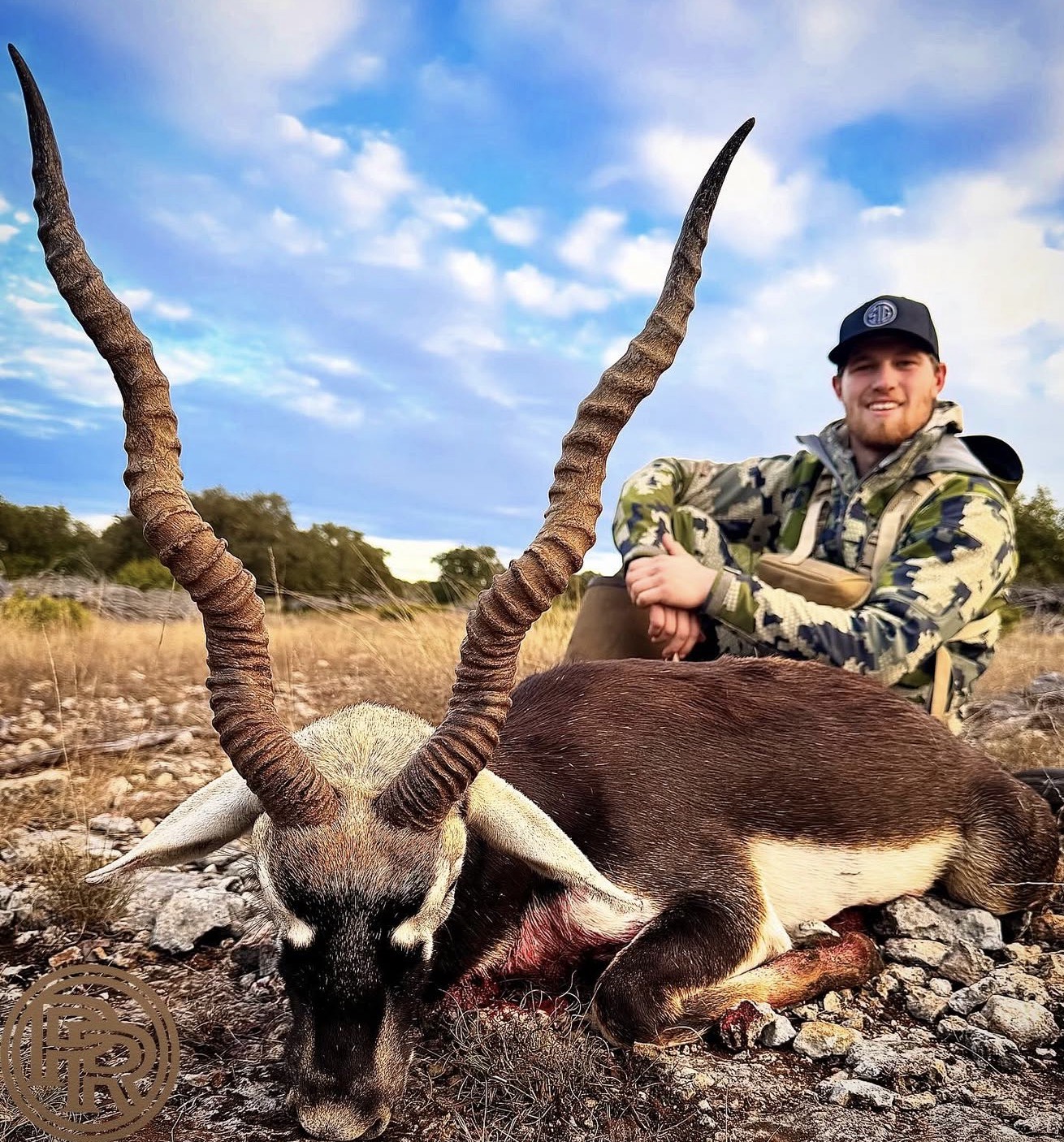 TX #305 blackbuck
