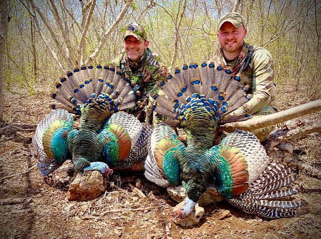 Ocellated Turkey Hunts in Mexico | Hunt Nation Ocellated Turkey Hunts in Mexico | Hunt Nation