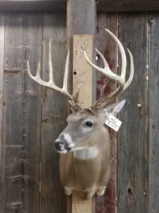 140 buck.2