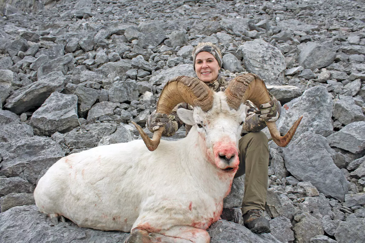 Best Time for Yukon Stone Sheep Hunts | hunt-nation.com