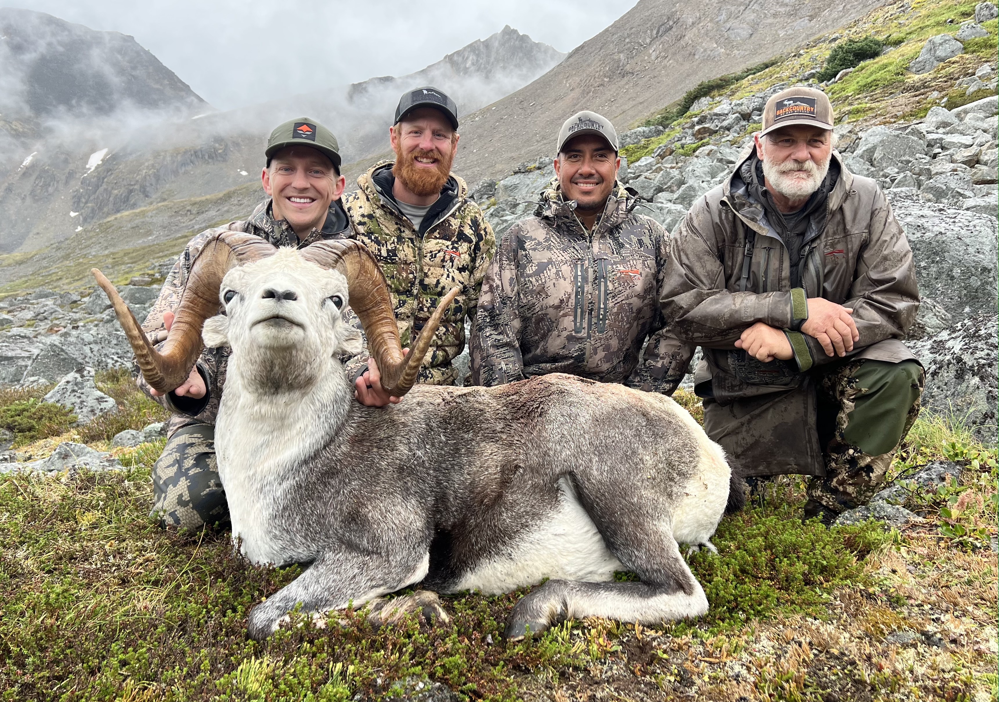 Stone Sheep - hunt-nation.com