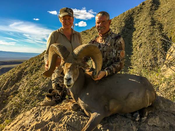 Desert Bighorn Sheep Hunts | Hunt Nation Desert Bighorn Sheep Hunts | Hunt Nation