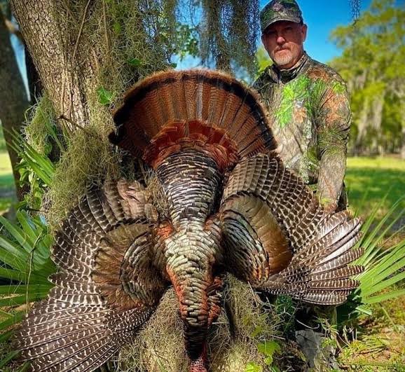 Florida Osceola Turkey Hunting Outfitter | Hunt Nation Florida Osceola Turkey Hunting Outfitter | Hunt Nation